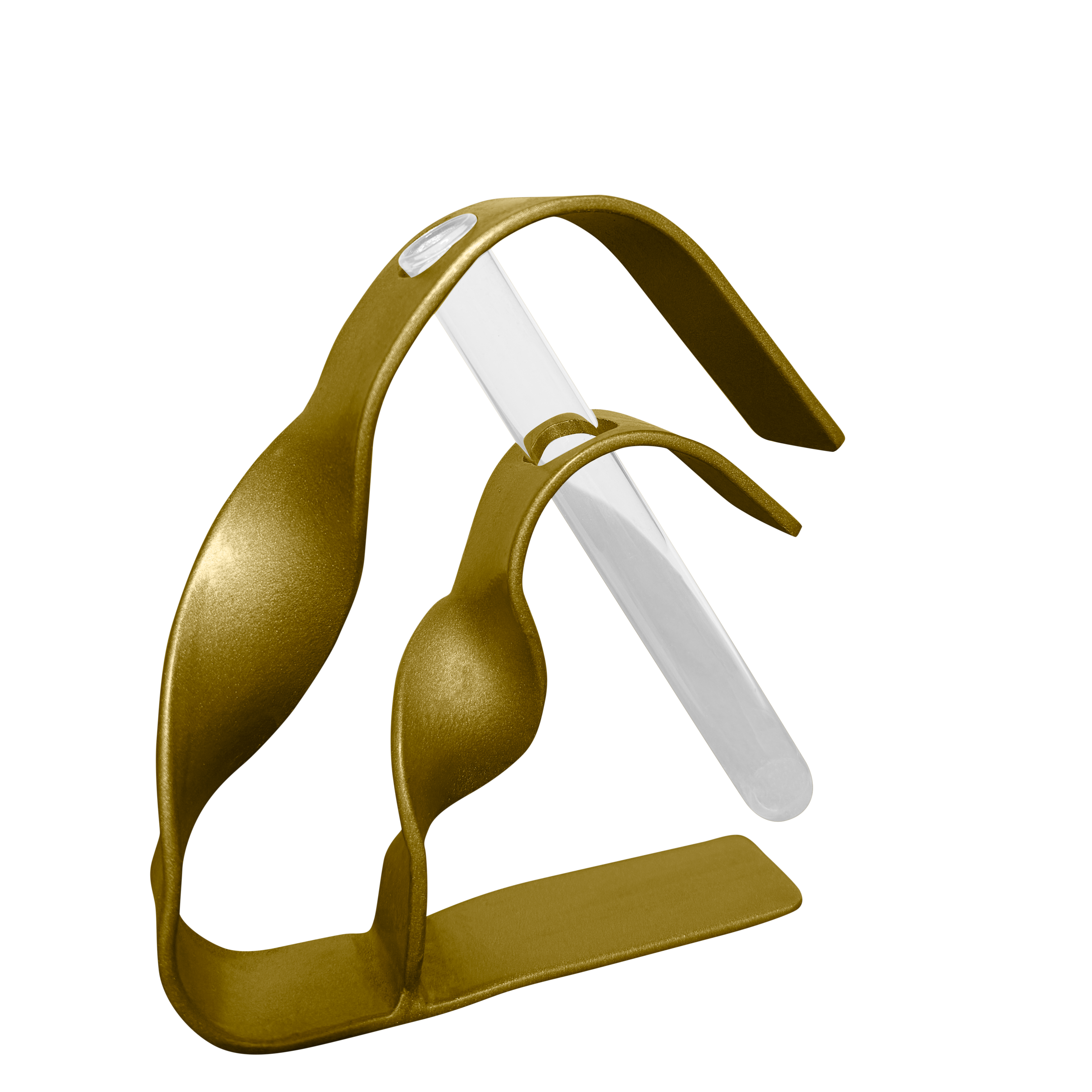 Vază minimalistă LEAFLINE cu eprubetă pentru plante - suport negru mat - FROMRO