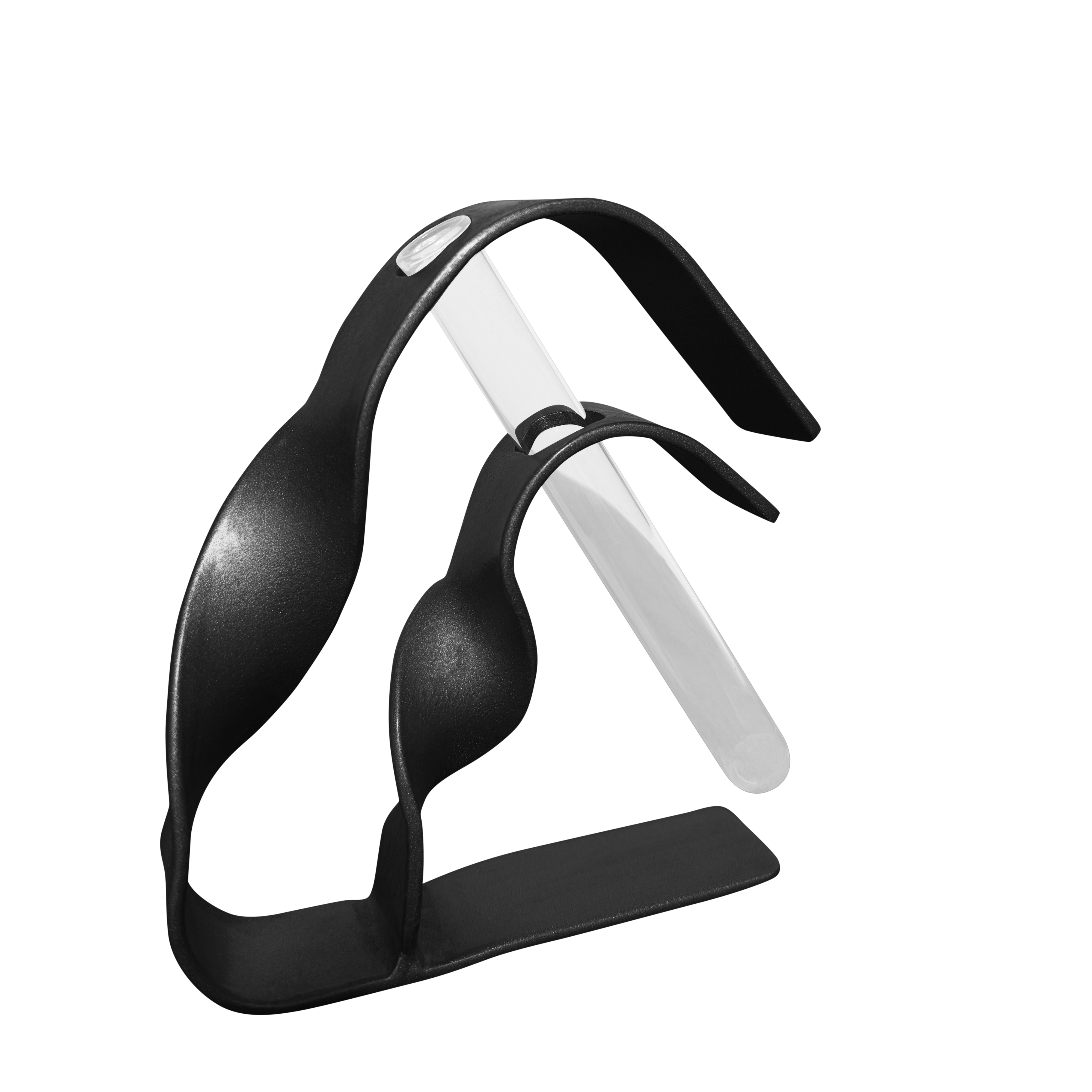 Vază minimalistă LEAFLINE cu eprubetă pentru plante - suport negru mat - FROMRO